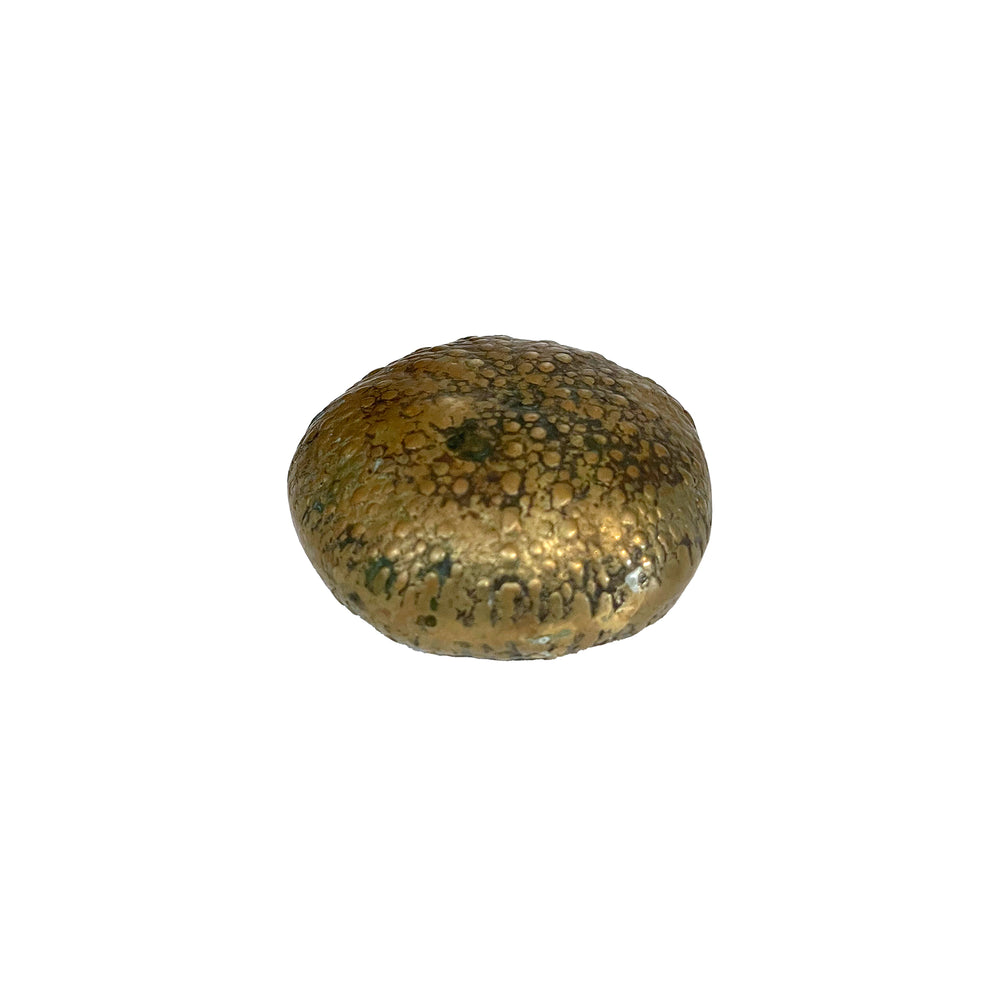Petite Cast Bronze Sea Urchin Skeleton Paperweight