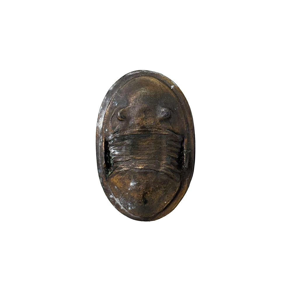 Petite Cast Bronze Trilobite Paperweight