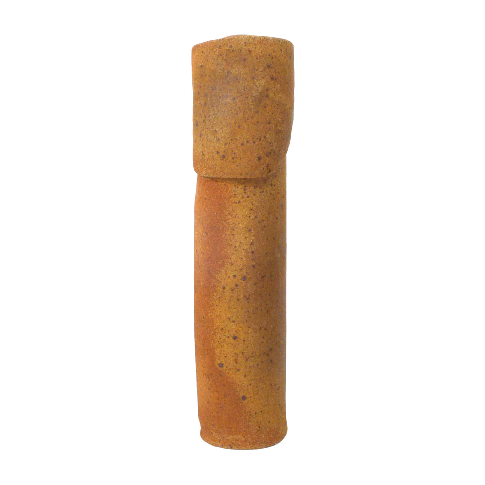 Studio Ceramic Biomorphic Cylindrical Vase