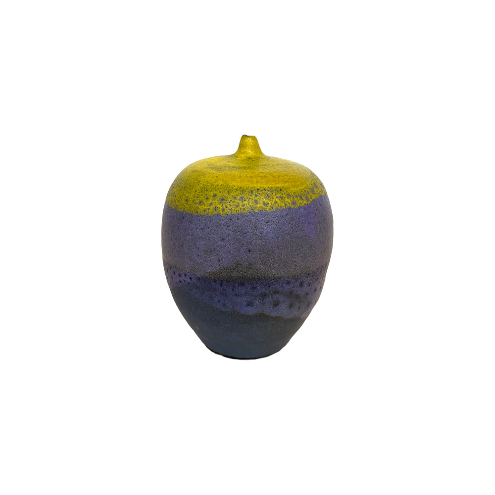 Studio Ceramic Weedpot by Brenda Williams