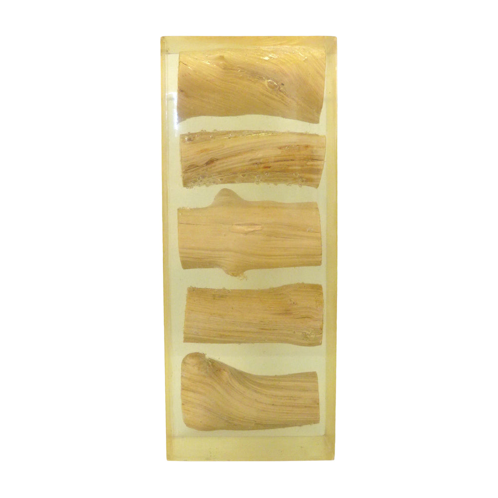 Wood Fragments in Acrylic