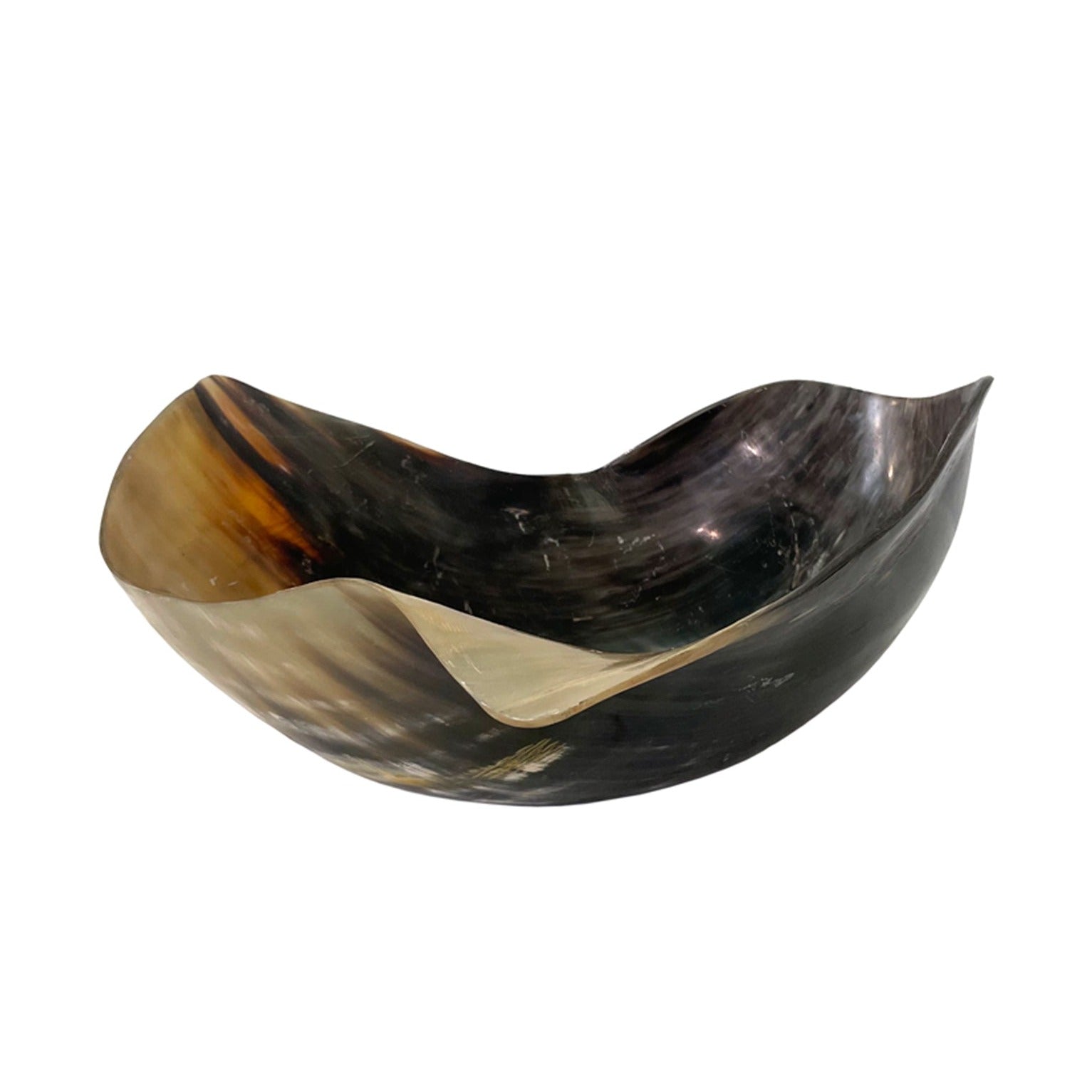 Biomorphic Horn Bowl