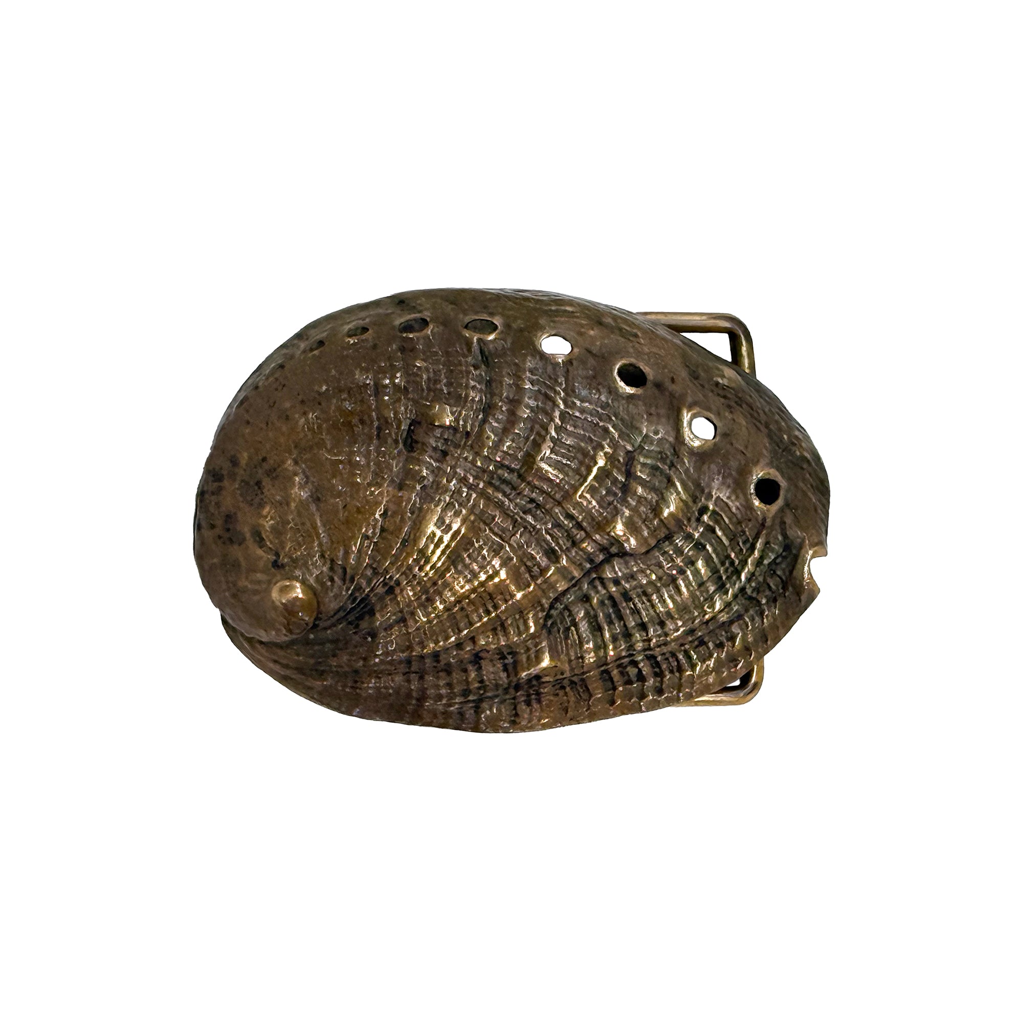 Bronze Shell Belt Buckle