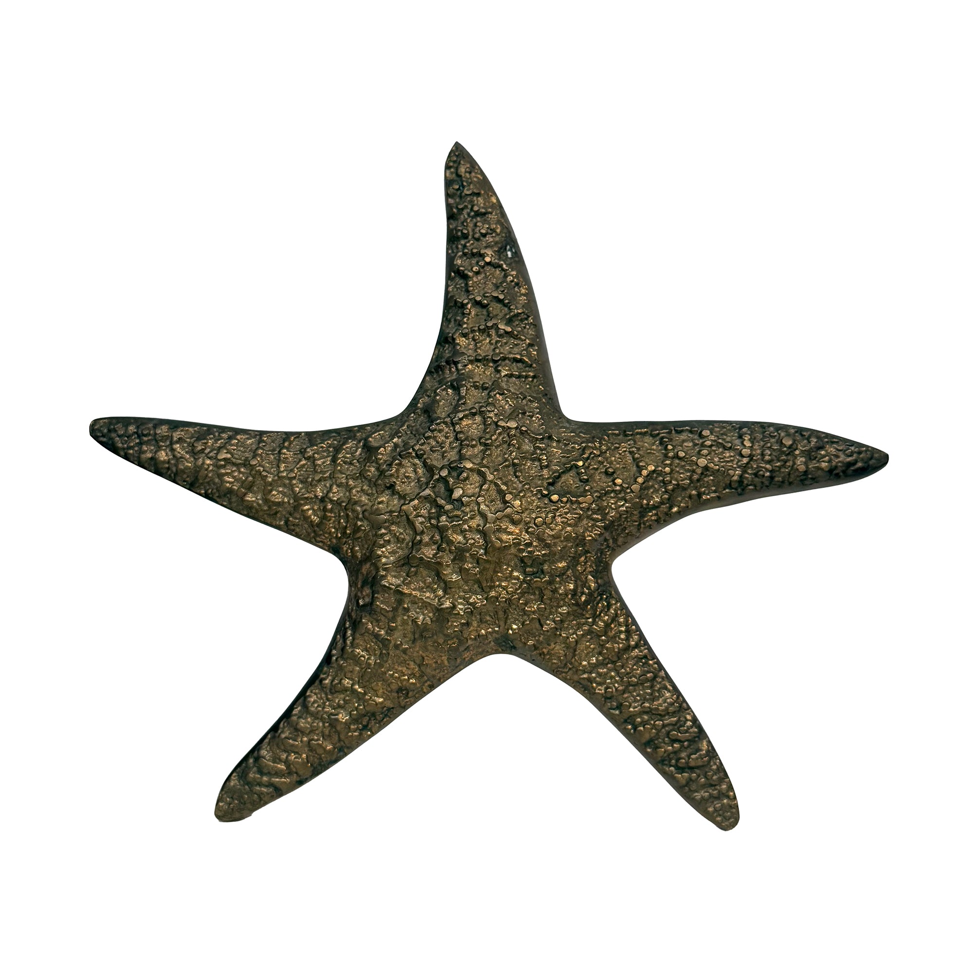 Cast Brass Wall-Hanging Starfish