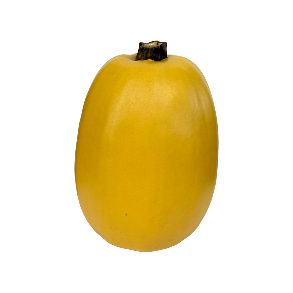 Ceramic Yellow Squash Vase by Patricia Gerrett