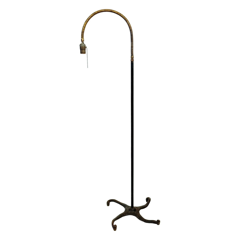 Early 20th Gooseneck Floor Lamp with Biomorphic Wrought Iron Base