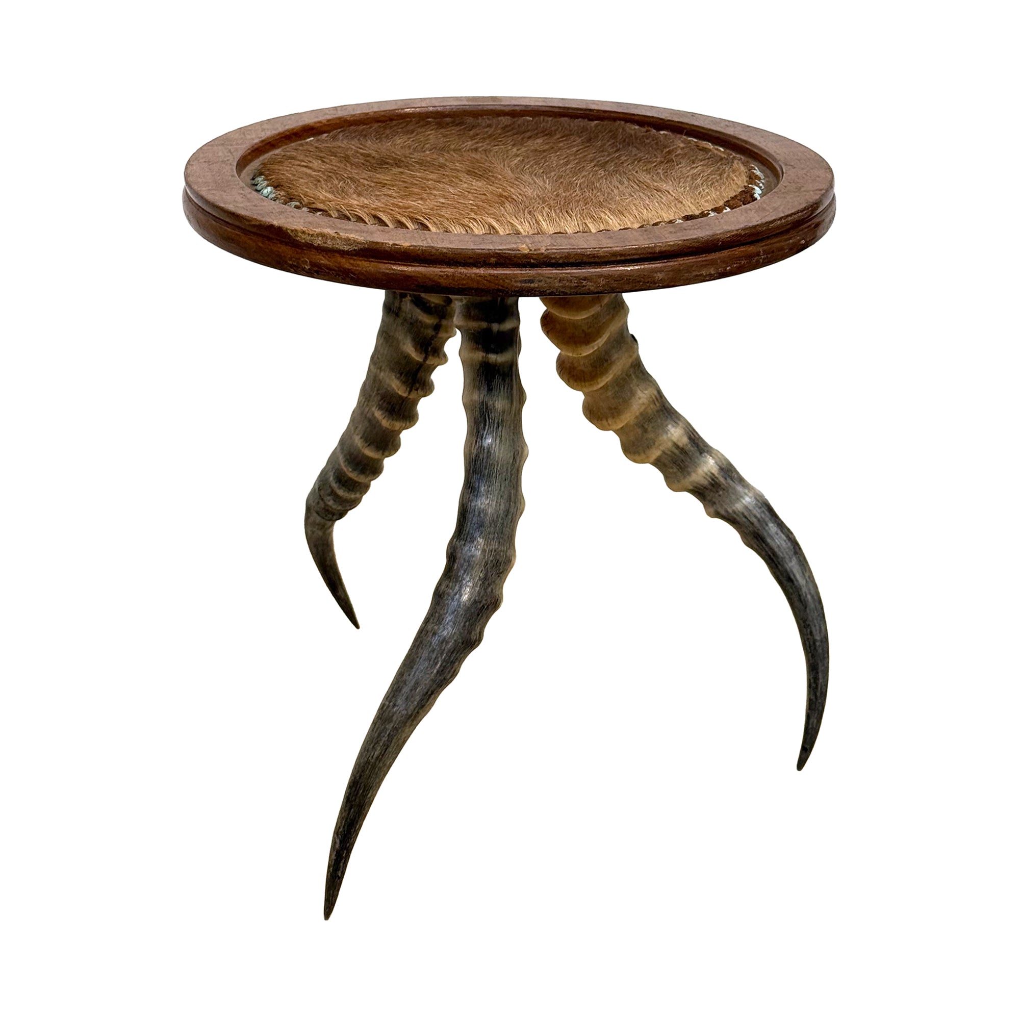 Horn, Wood, & Hide Side Table