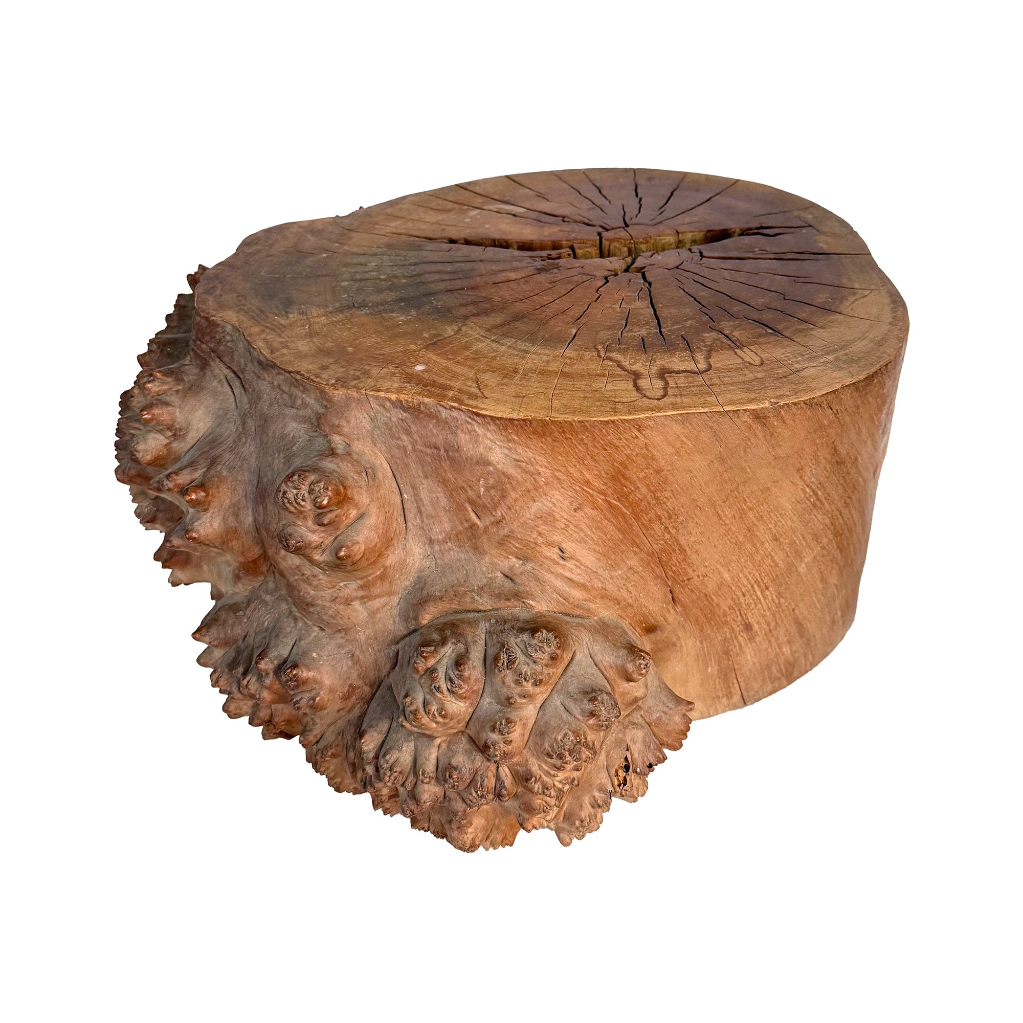 Japanese Burl Wood Kadai Stand