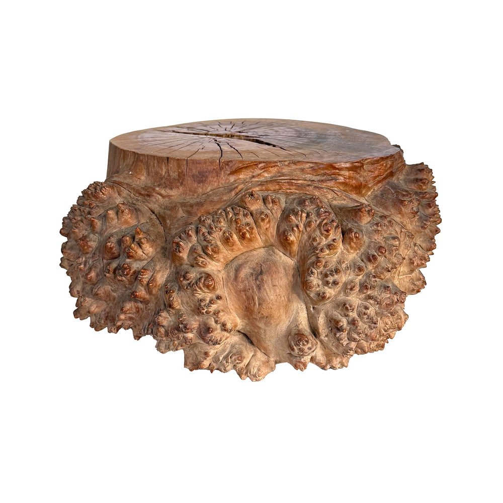 Japanese Burl Wood Kadai Stand