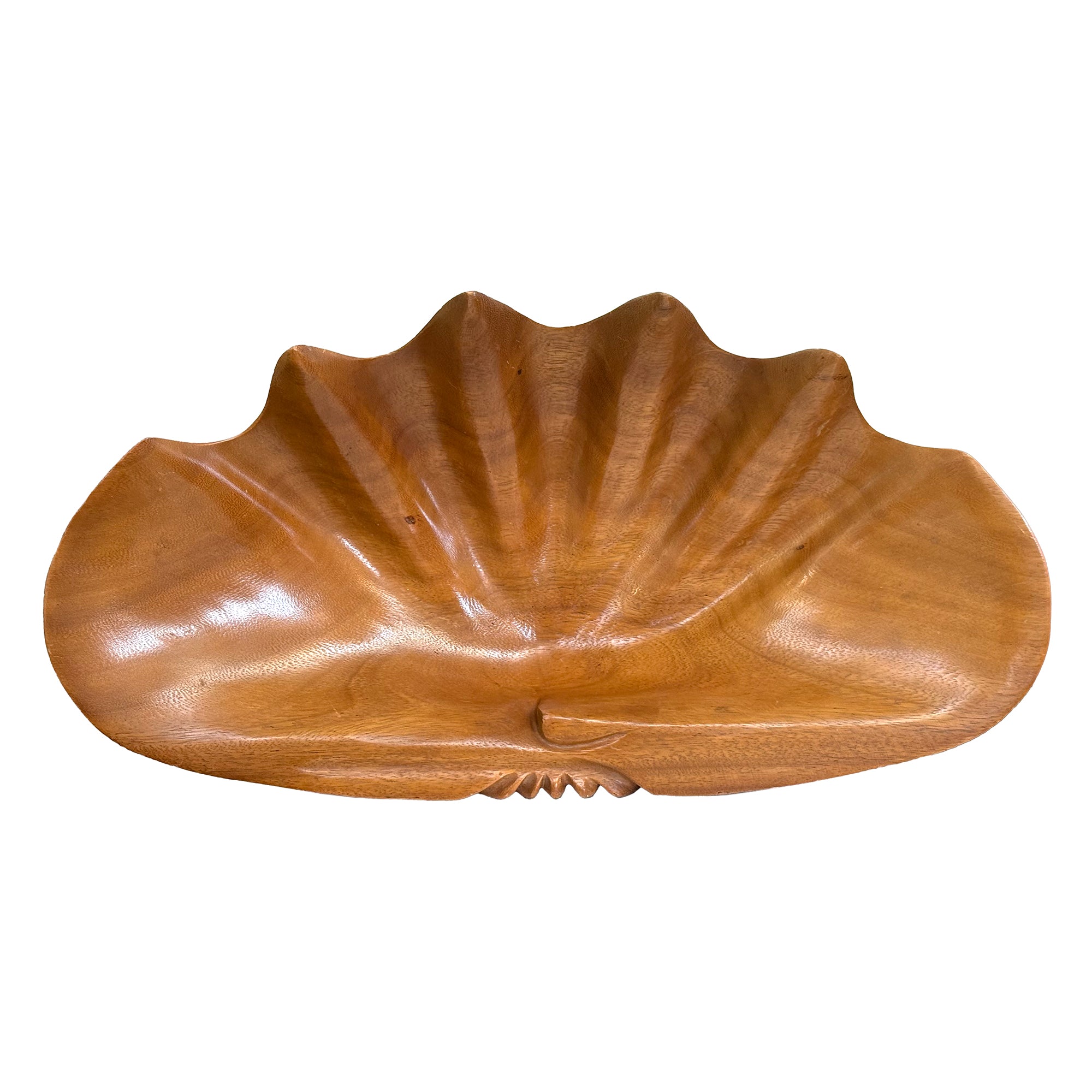 Large Carved Wood Shell