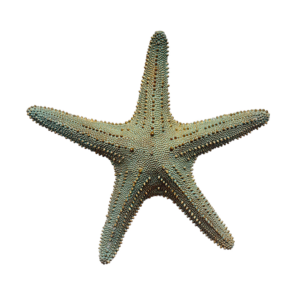 Mexican Large Cast Stone Starfish