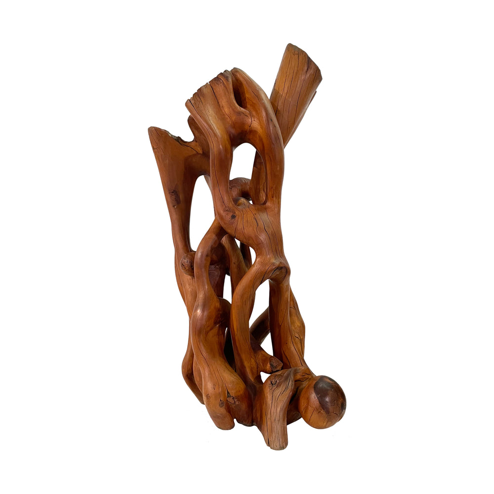 Organic Abstract Burl Wood Sculpture