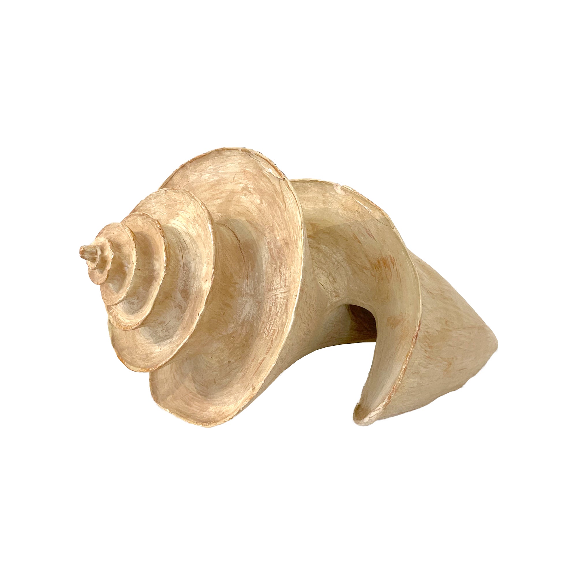 Oversized Enameled Carved Wood Conch Shell