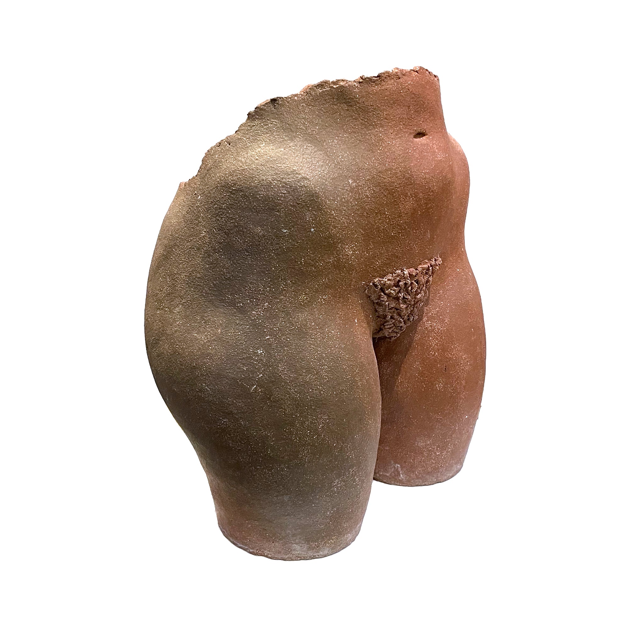 Terra Cotta Female Pelvis Sculpture