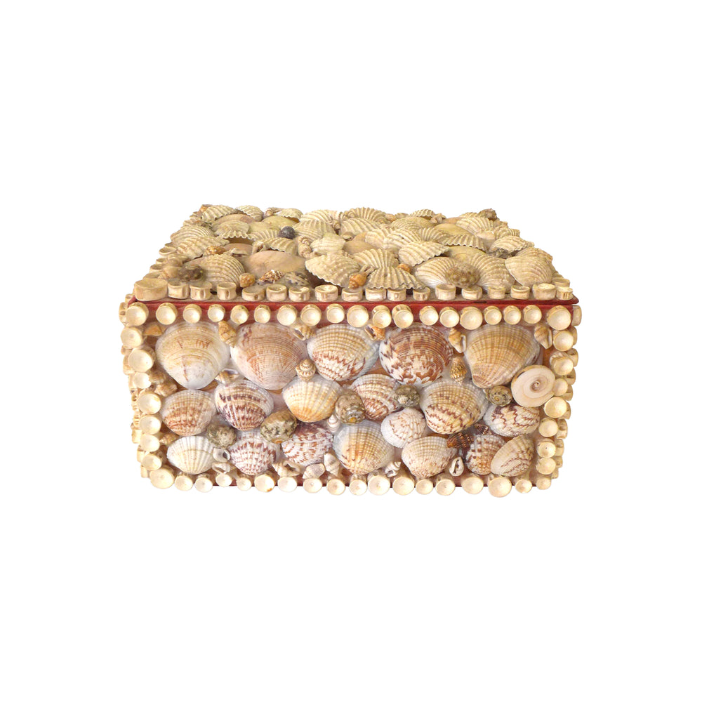 Shell-Encrusted Hinge-Lidded Box