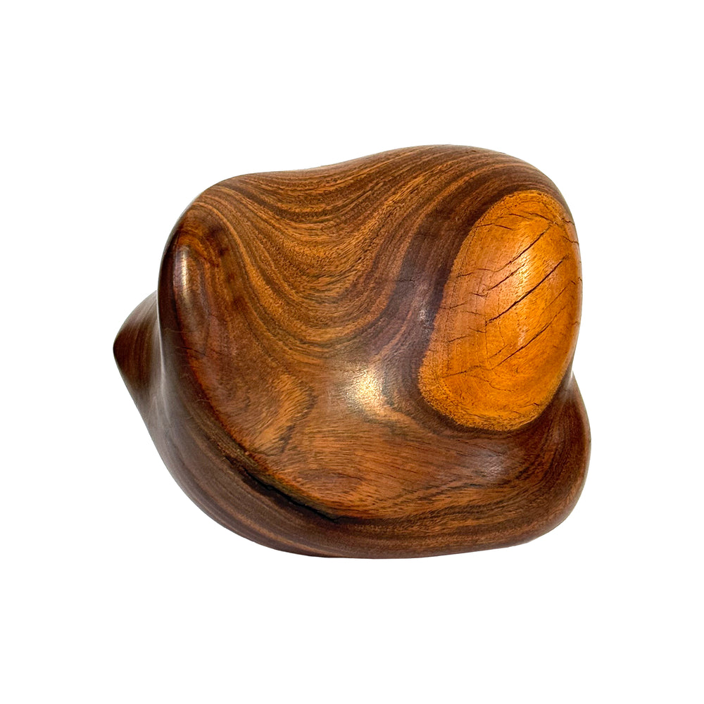 Small Biomorphic Carved Wood Sculpture