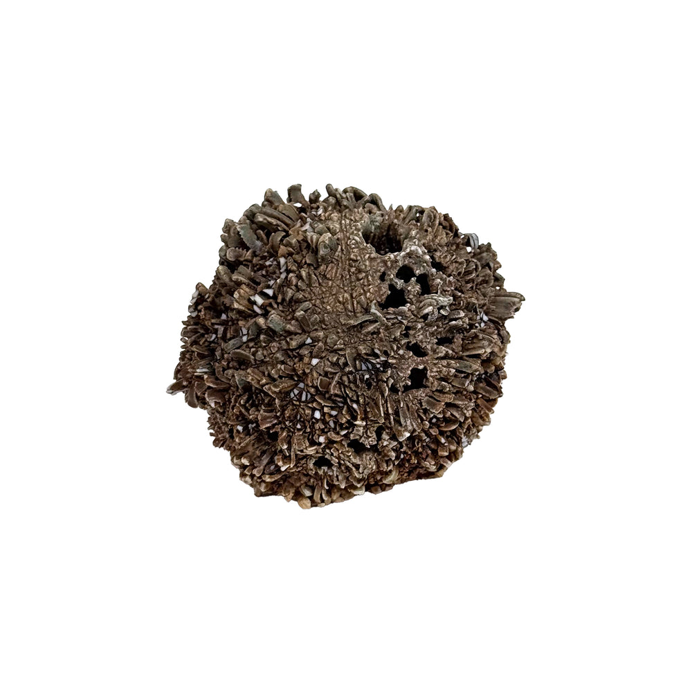 Studio Ceramic "Sea Urchin" Sculpture