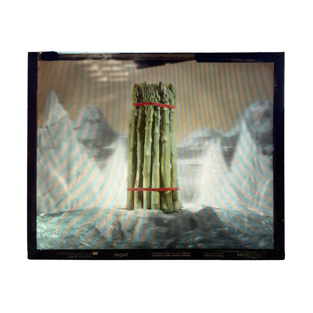 Surrealist Asparagus Photograph on Glass