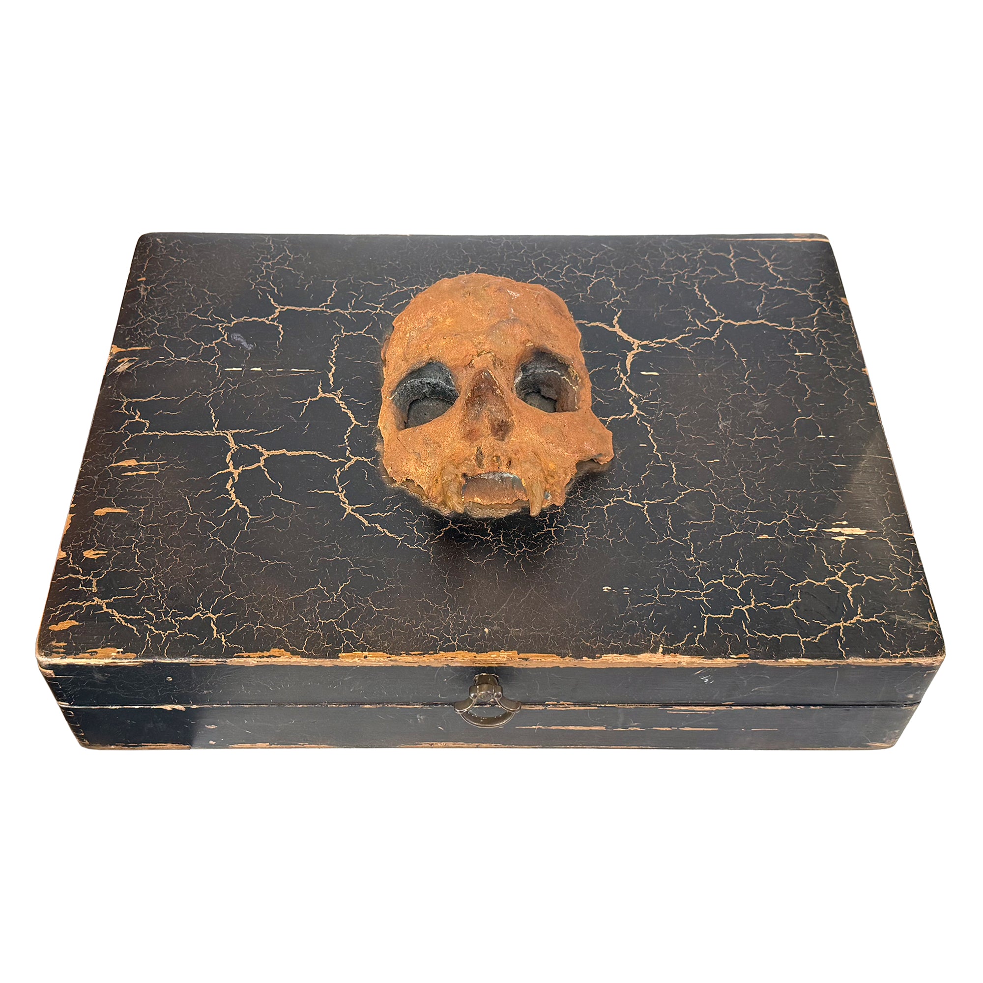 Vampire Slaying Kit Prop