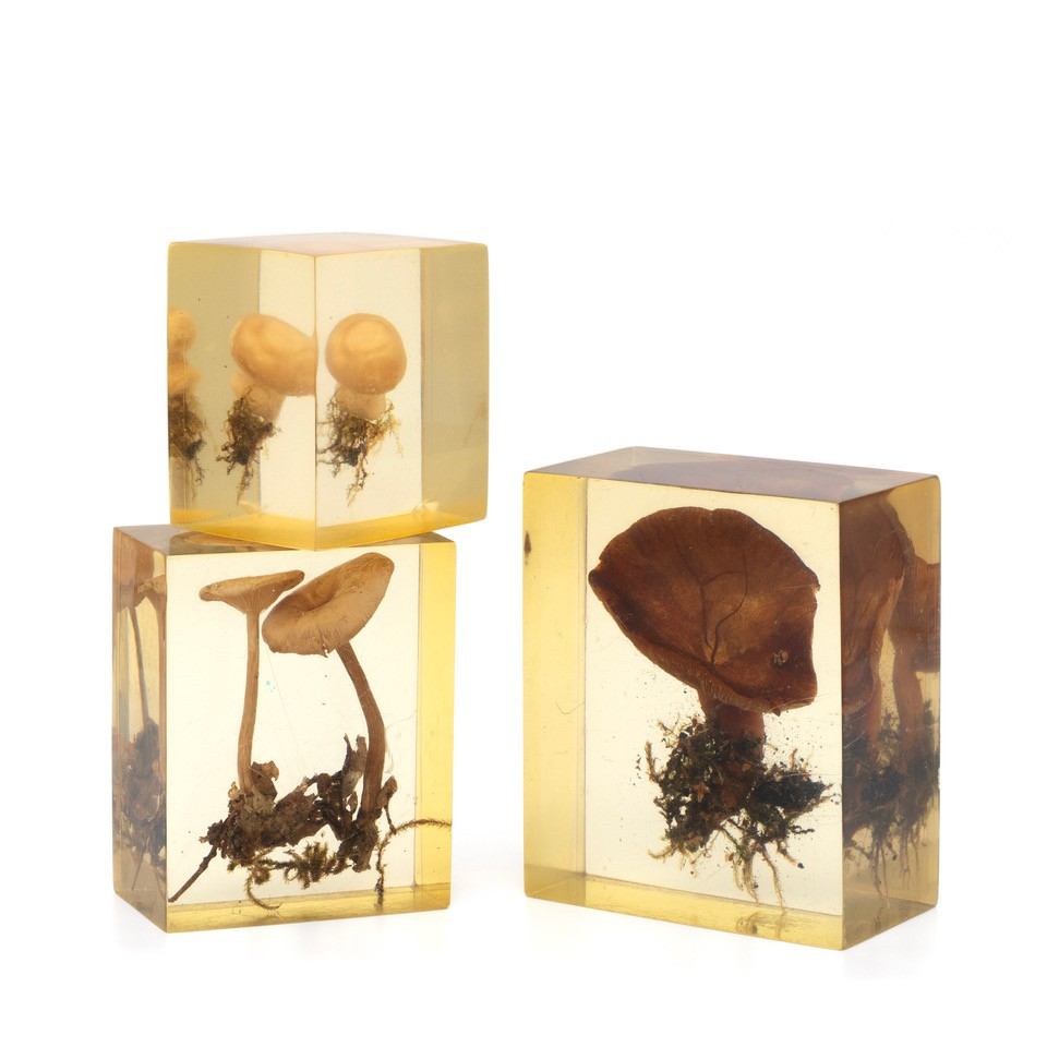 Set of Three Vintage French Mushrooms in Resin